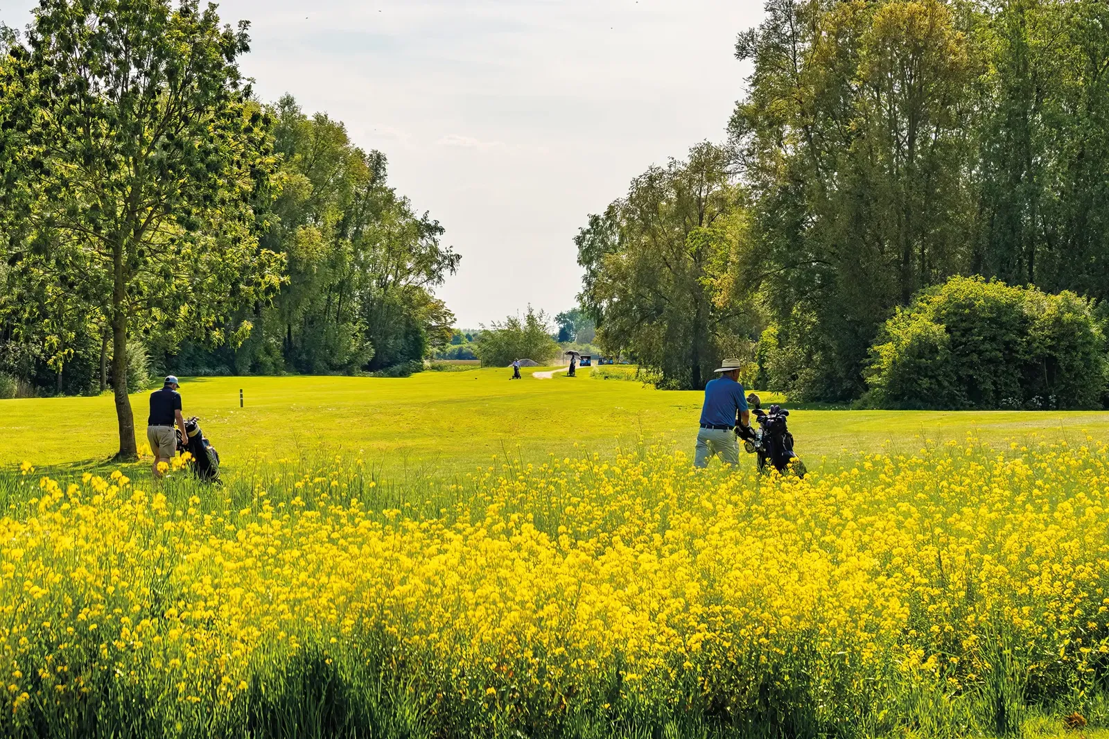 Zomer op Golfpark Almkreek, golfers onderweg naar de volgende hole