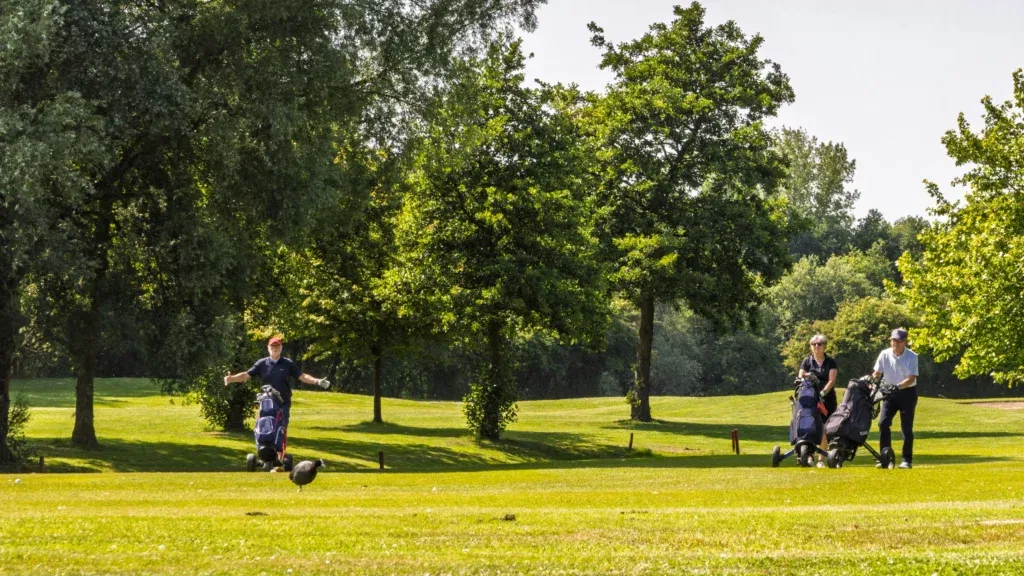 18 holes: rode lus ⇆ gele lus