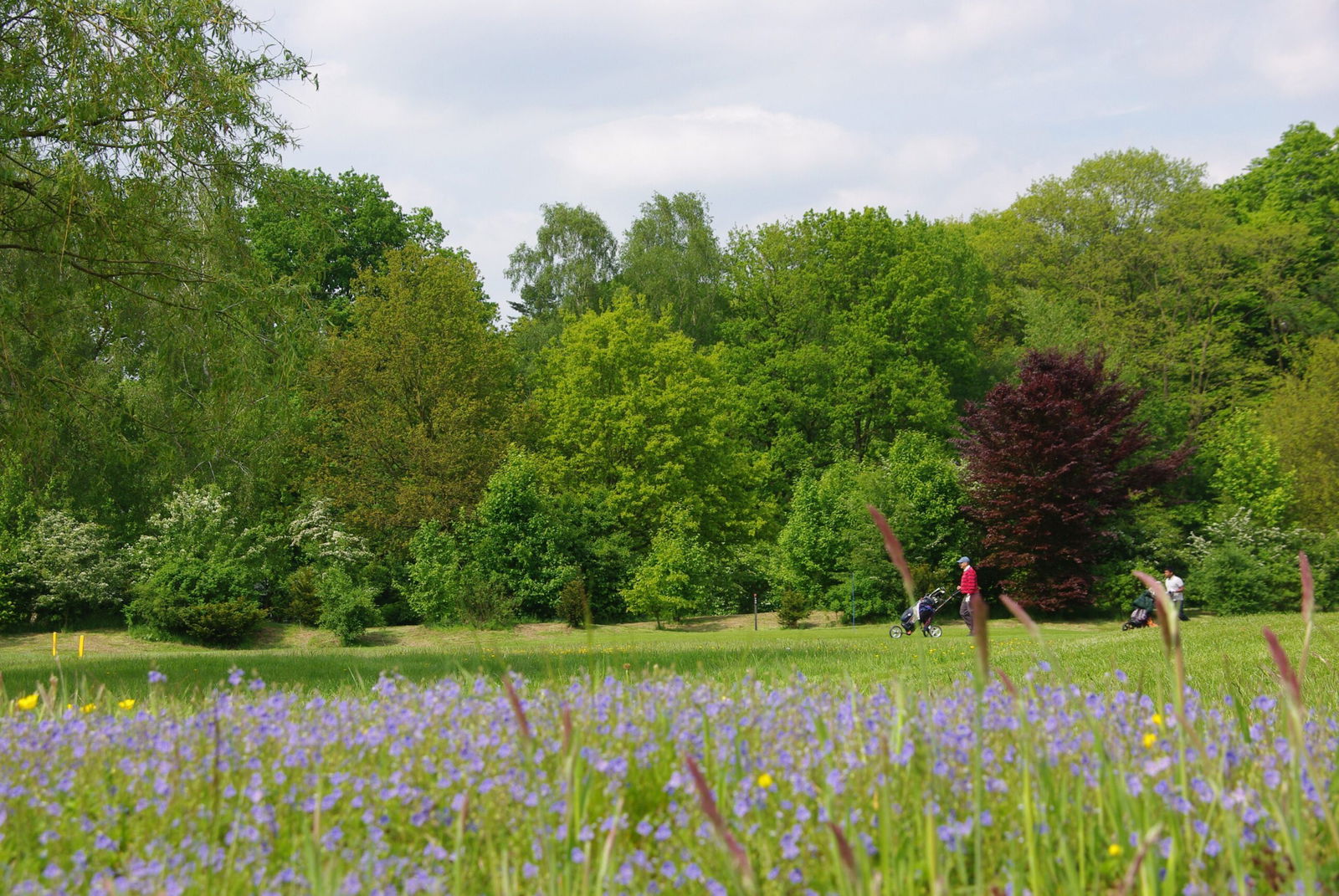 Golfers op De Breuninkhof in Voorst, vlakbij Deventer