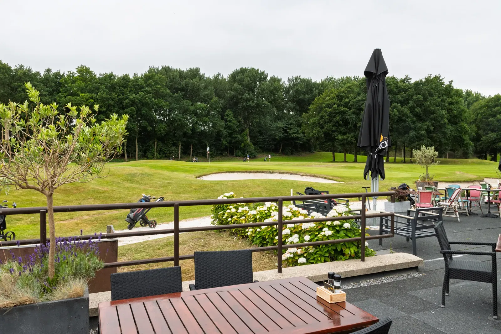 Westerpark, uitzicht vanaf het terras