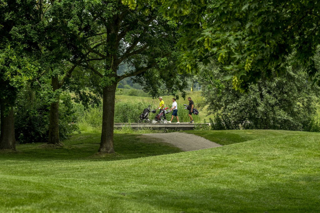 9 holes: shortgolf (PAR 3)