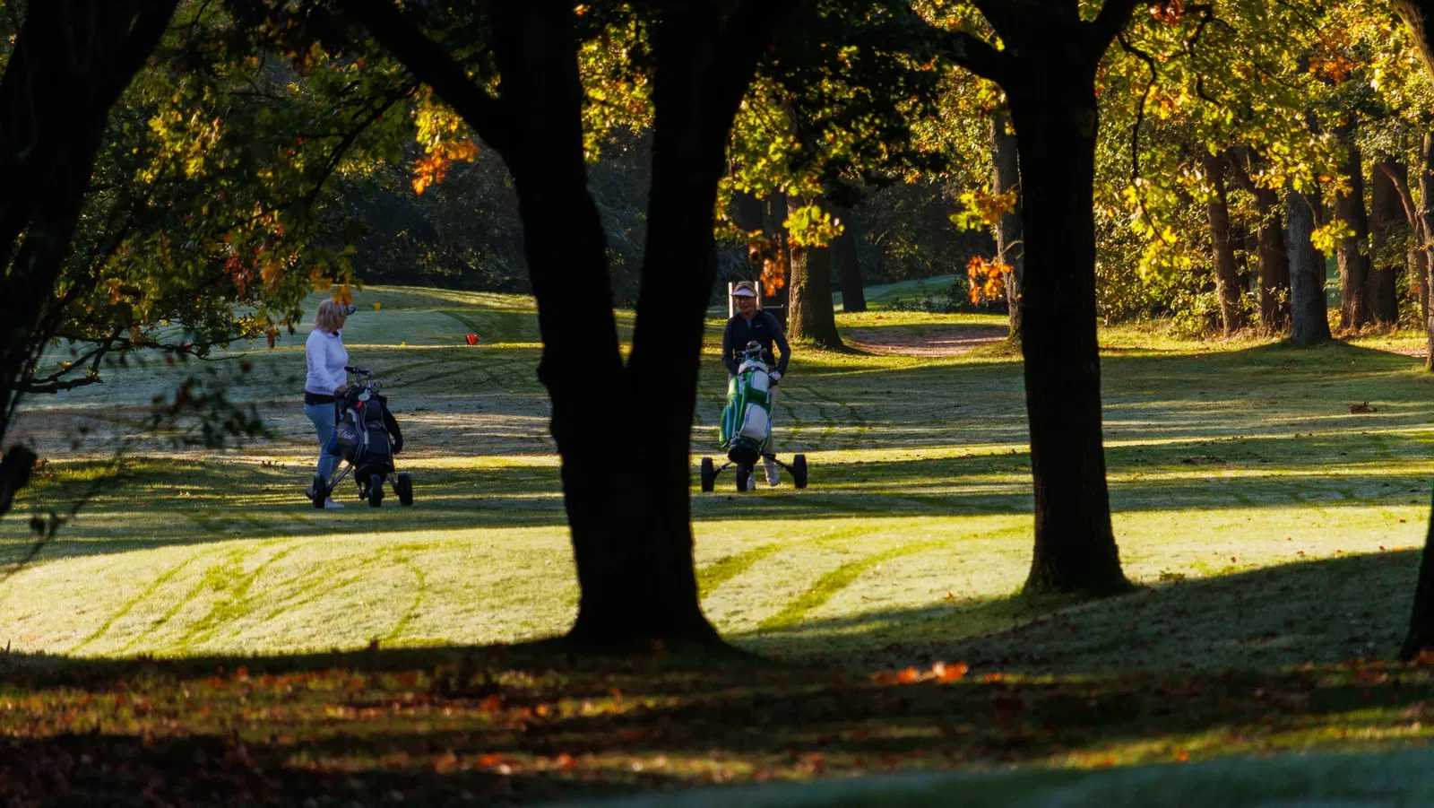 Golfers in de baan op De Loonsche, herfst 2025