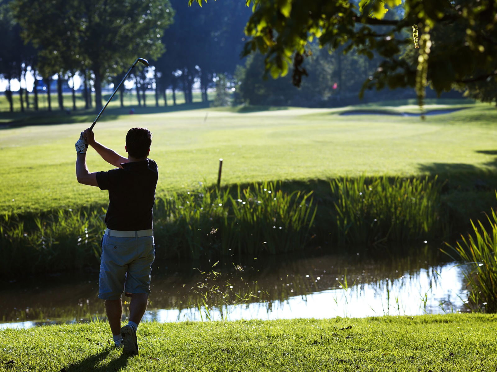 Westerpark, golfer op de rug gezien