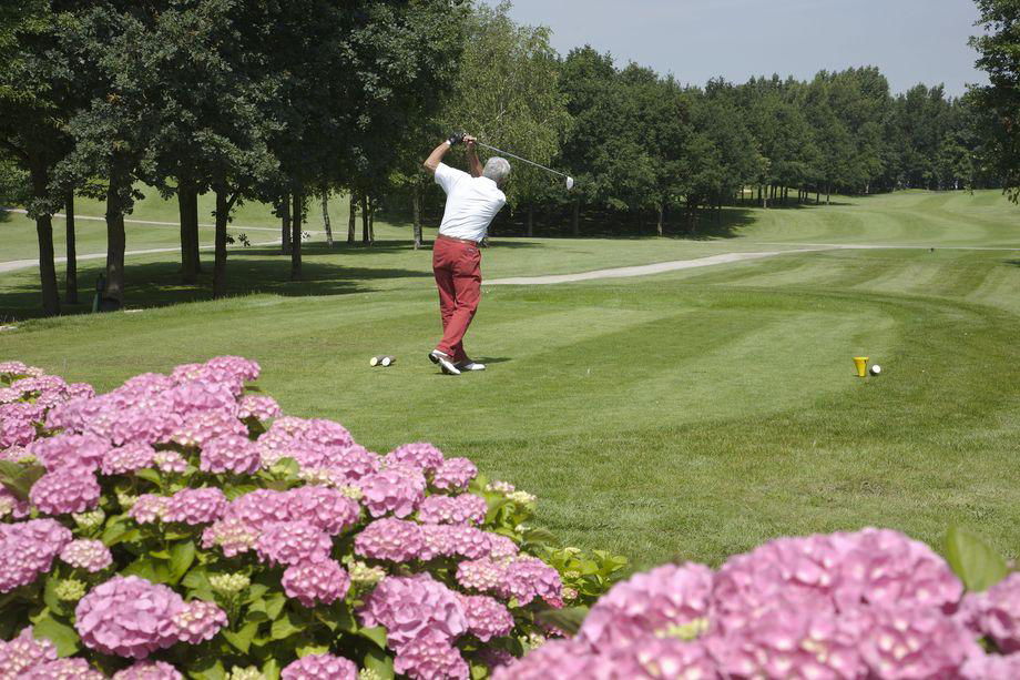 18 holes: blauwe lus ⇆ gele lus