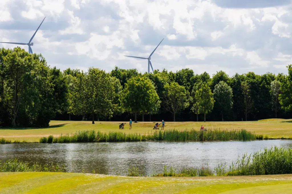 9 holes: shortgolf (PAR 3)