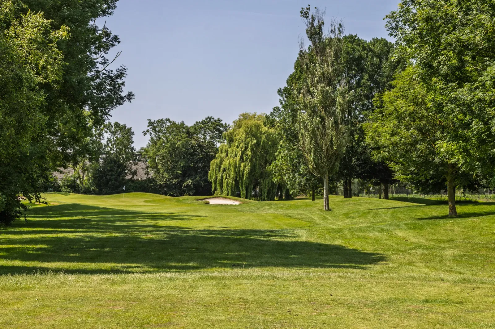 Groene golfbaan met bomen op de 9 holes baan van Golfpark De Purmer