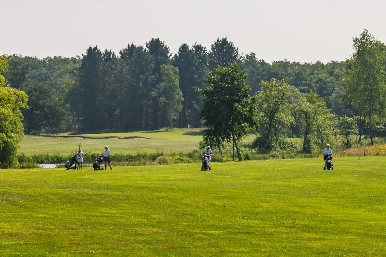 Golfers op de 9 | 18 holes golfbaan van Golfpark Sint Nyk in het Friese landschap