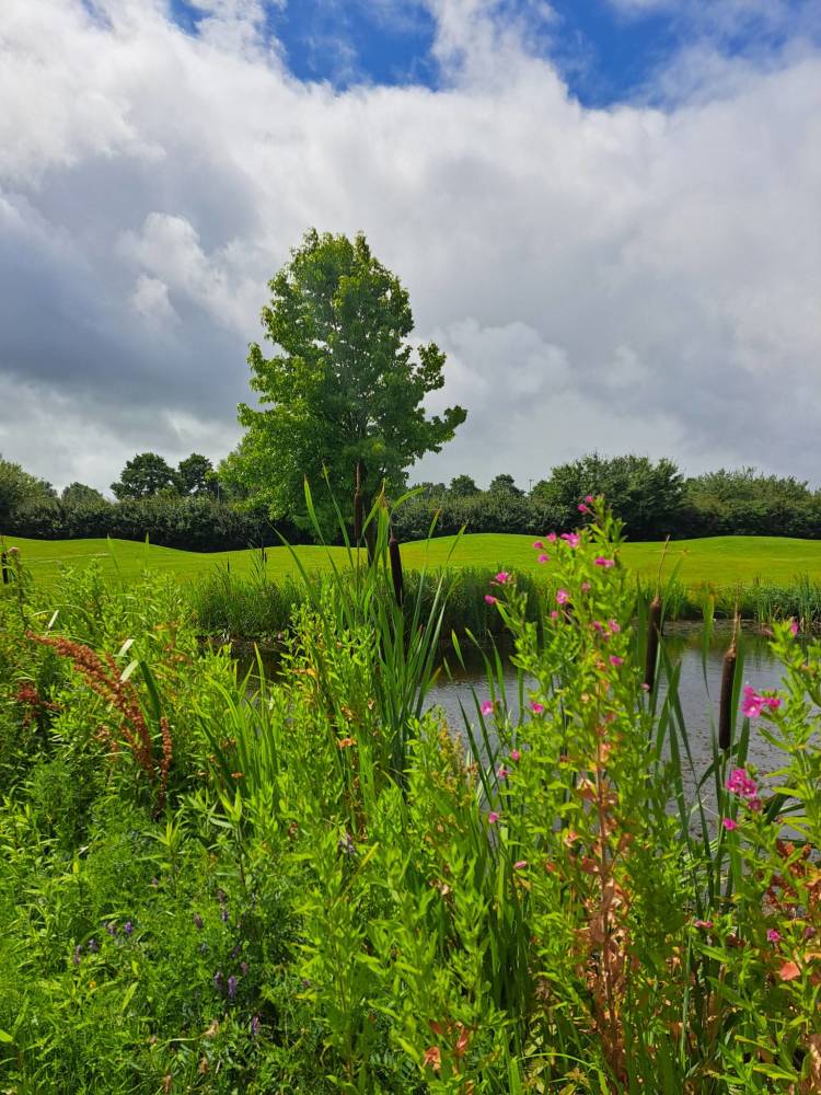 Natuur op De Purmer, Purmerend