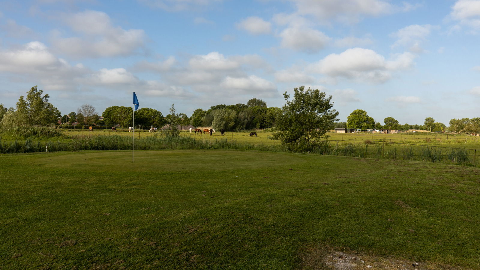 shortgolf-utrecht-weilanden