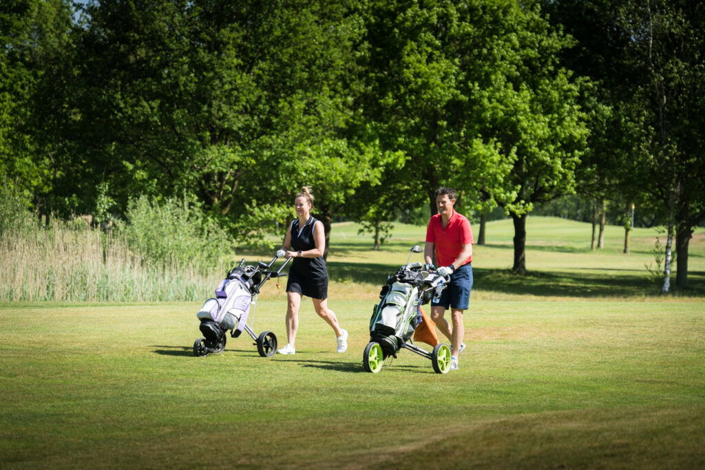 16 holes: gele lus ⇄ blauwe lus