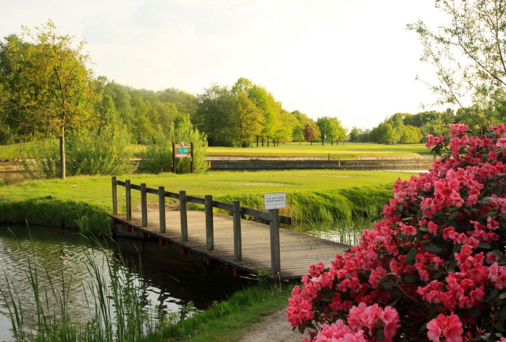 16 holes: gele lus ⇄ blauwe lus