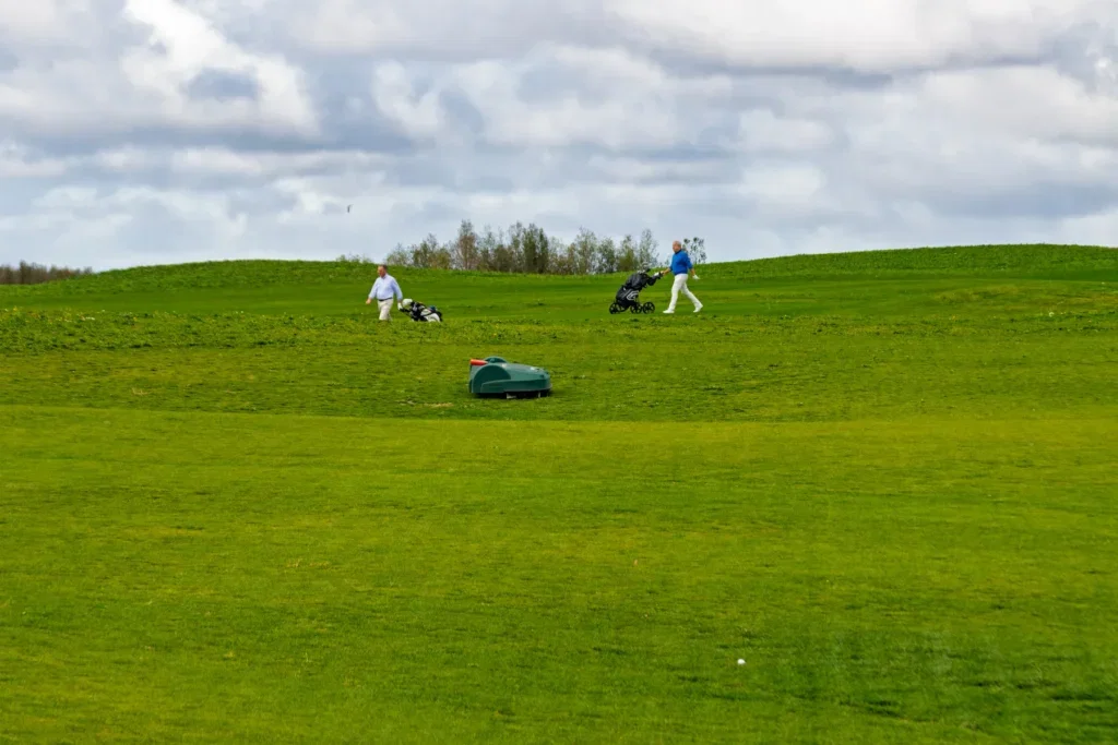 9 holes: rode lus