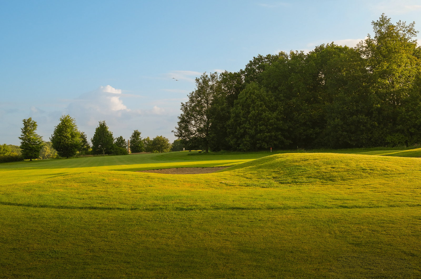 Golfpark International Maastricht | Baan 017