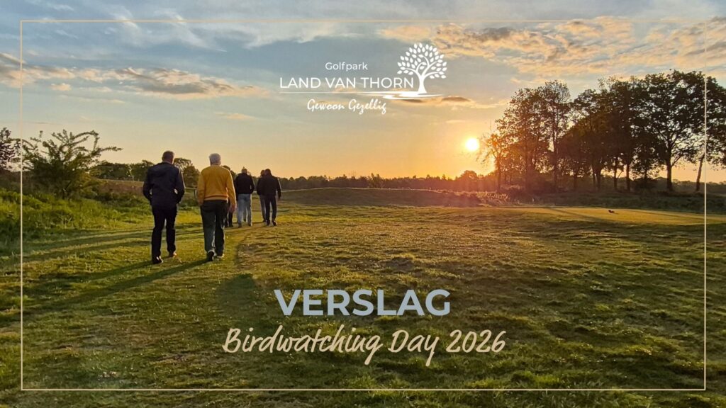 Land van Thorn | Verslag Birdwatching Day 2026