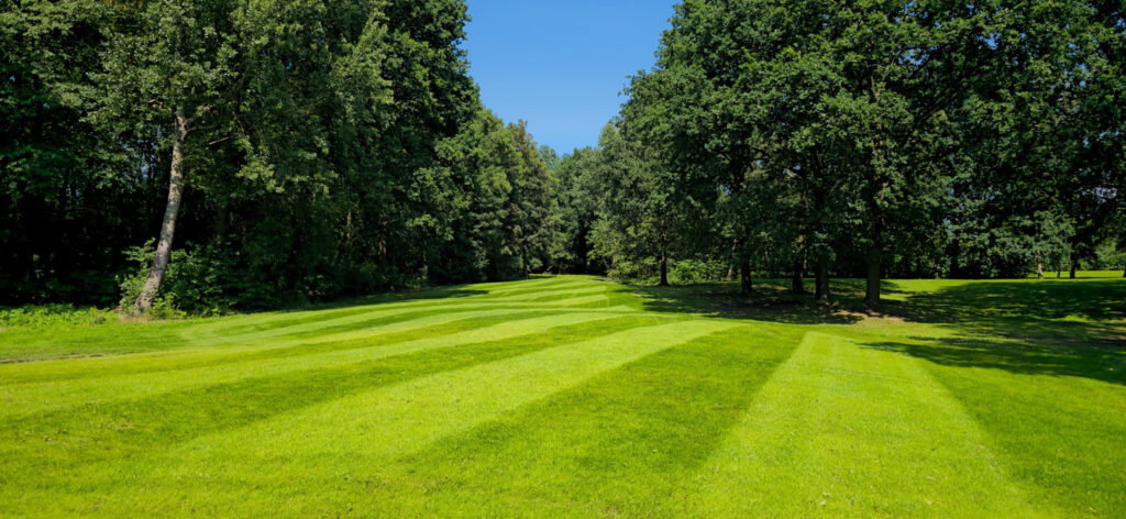 18 holes rode lus ⇆ gele lus